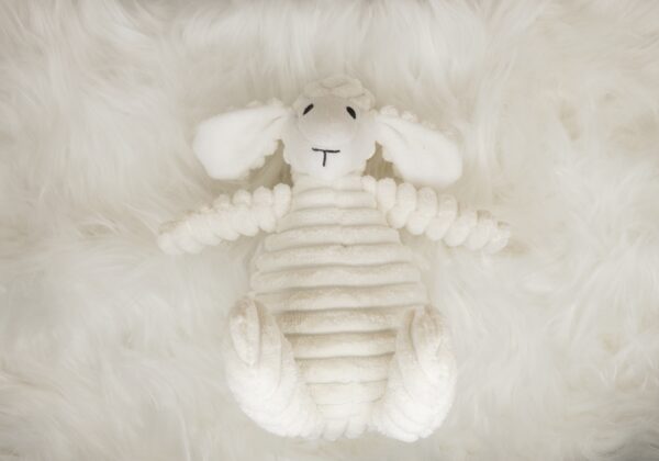 Frenchie Lamb Chew Toy