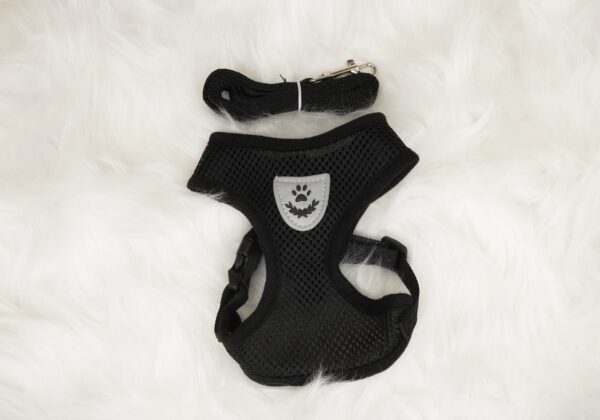 Frenchie Puppy Harness & Leash Set