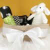 French Bulldog Philly Puppy Care Kit