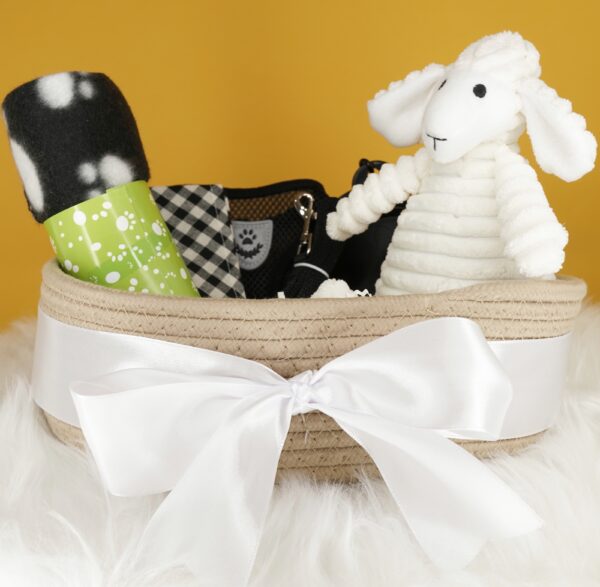 French Bulldog Philly Puppy Care Kit