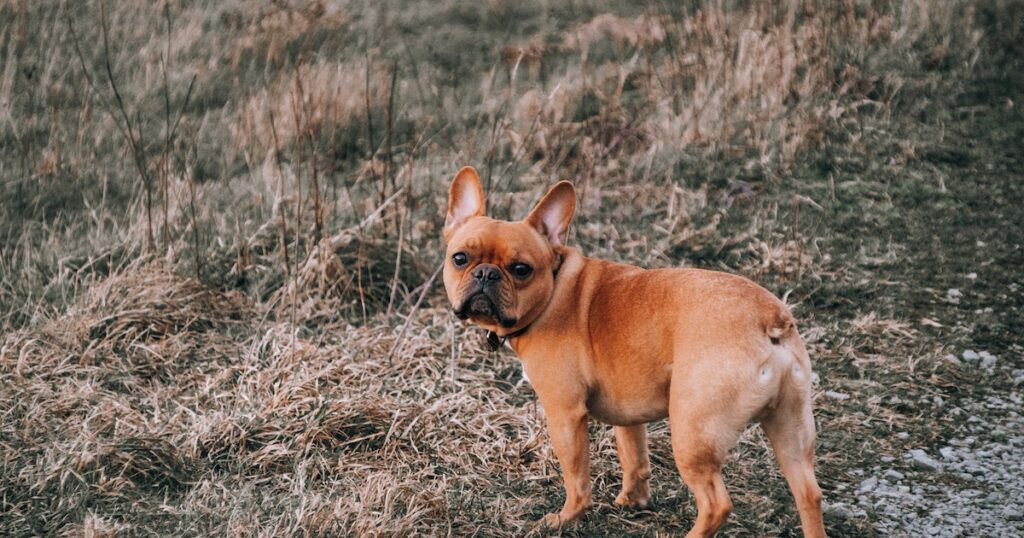 pexels gustavo h 4057436 1