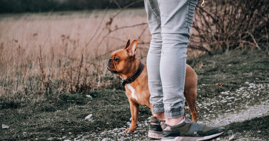 pexels gustavo h 4057446